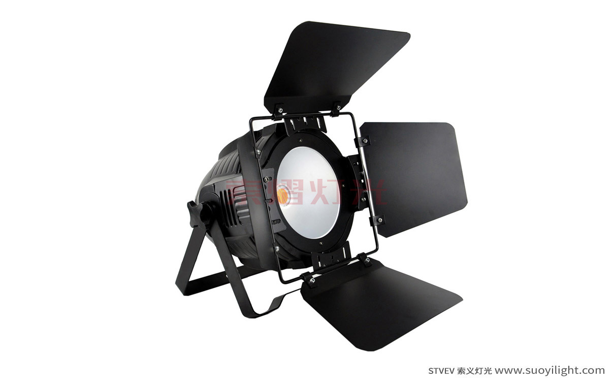 Iceland200W COB LED Par Light