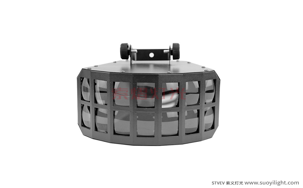 IcelandLED Double Butterfly Light