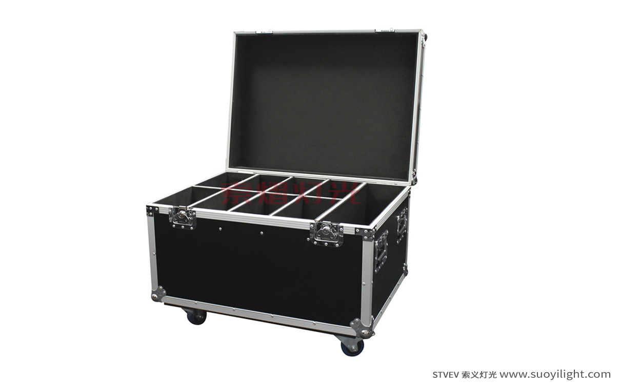 Iceland8in1 Par Light Flight Case