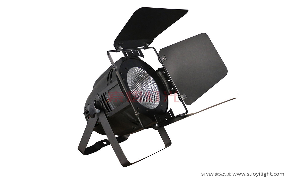 Iceland100W LED COB Par Light