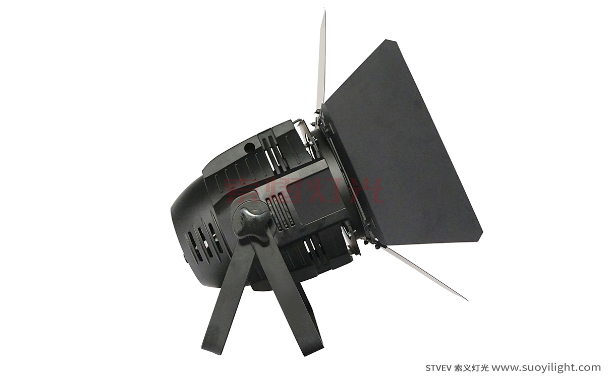 Iceland100W LED COB Par Light