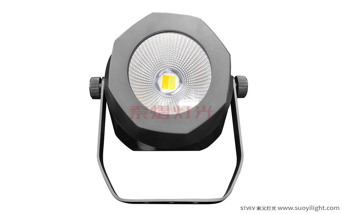 Iceland200W Waterproof COB Par Light